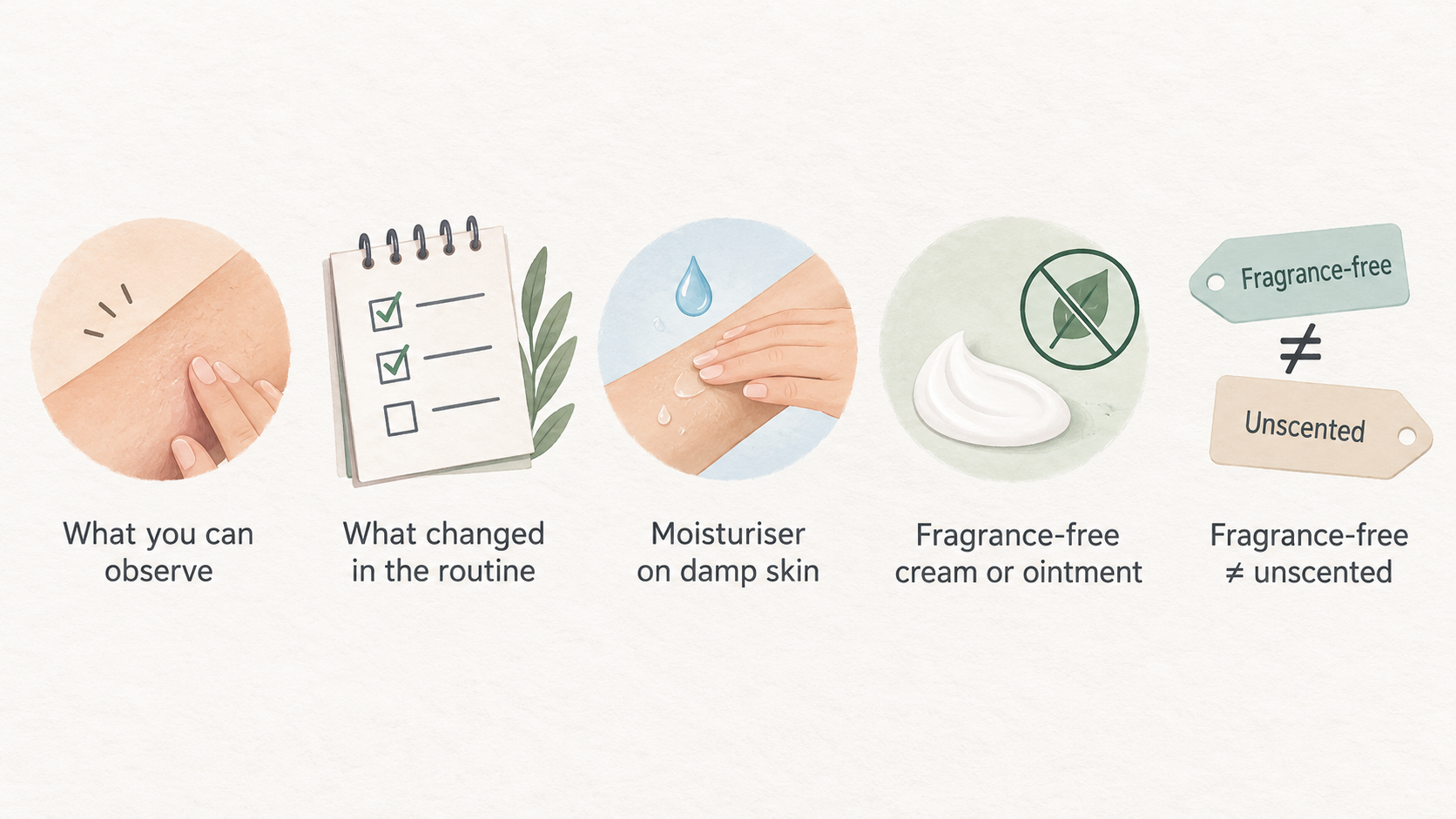 Show the Dr.Jart Ceramidin cream named in this section’s image caption as a ceramide moisturiser example, without implying it addresses any of the listed skin patterns.